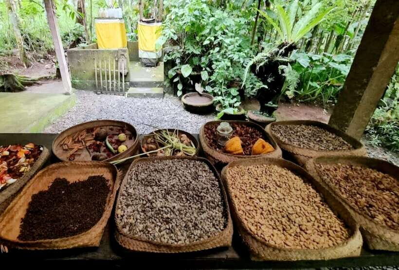 Bali: Bali Insta Journey Private Tour (All-Inclusive) - Cantik Coffee Plantation: What Coffee Tasting Feels Like Here