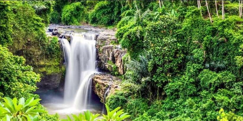 Bali: Bali Swing, Monkey Forest, Rice Terrace, Waterfall - Price and Value: What $29 Covers and What Changes by Option
