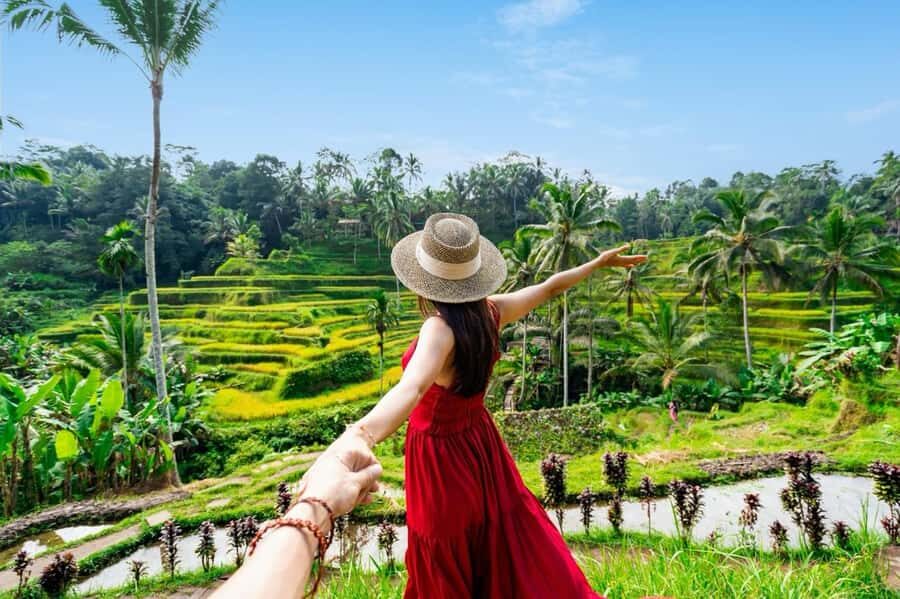 Bali: Barong Dance Show, Ricefields Tegallalang & Waterfall - Price and Logistics: What $44 Really Covers
