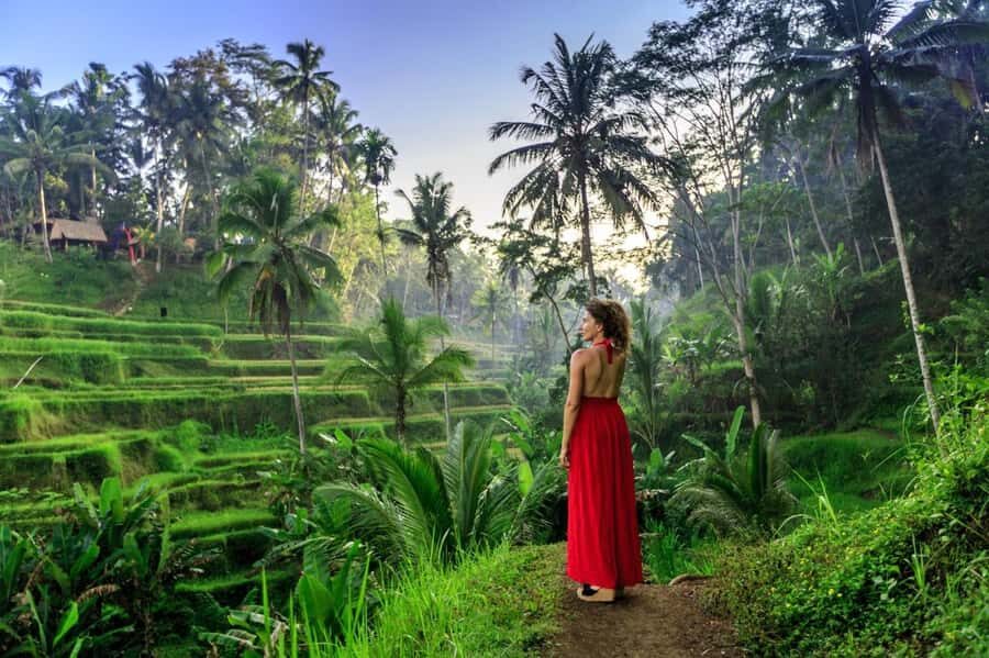 Bali: Barong Dance Show, Ricefields Tegallalang & Waterfall - Should You Book This Tour?