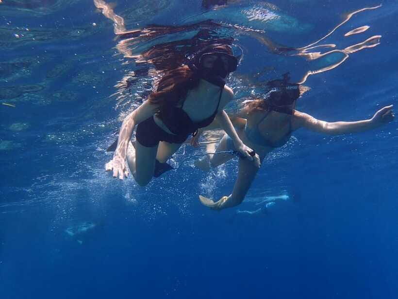 Bali: Basic Snorkeling at Menjangan Island - What to bring for Menjangan: the list that actually helps
