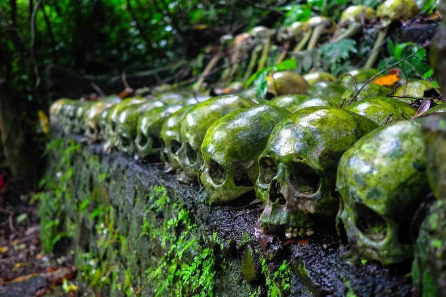 Bali/Batur: Mystical & Burial Rituals Tour with Kehen Temple - Trunyan and Bayung Gede: Bali’s rituals that don’t feel like a show