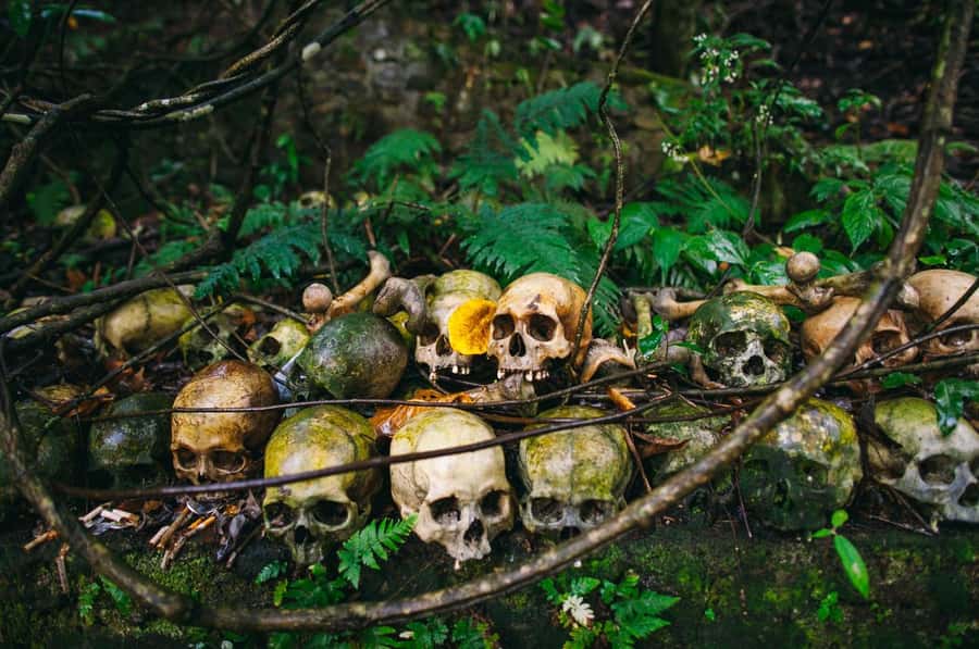 Bali/Batur: Mystical & Burial Rituals Tour with Kehen Temple - Trunyan Village cemetery: bamboo cages, cleansing, and real emotional load