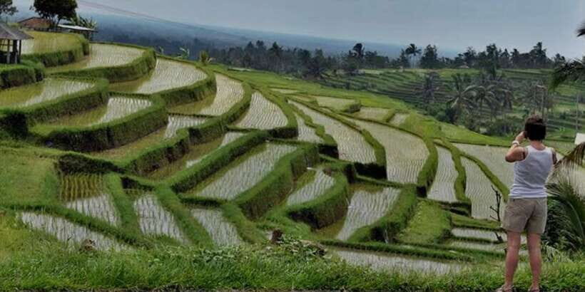 Bali: Bedugul, Jatiluwih, Taman ayun, Tanah lot private tour - Who this private day tour is best for