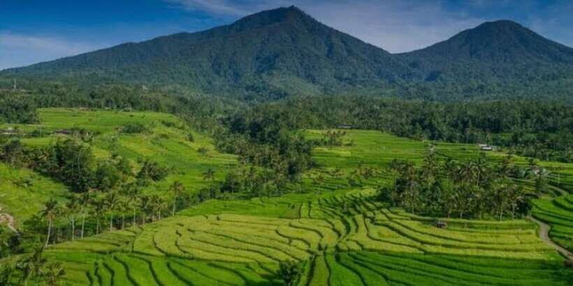 Bali: Bedugul, Jatiluwih, Taman ayun, Tanah lot private tour - Jatiluwih Rice Terraces: UNESCO Subak systems and the Tri Hita Karana idea