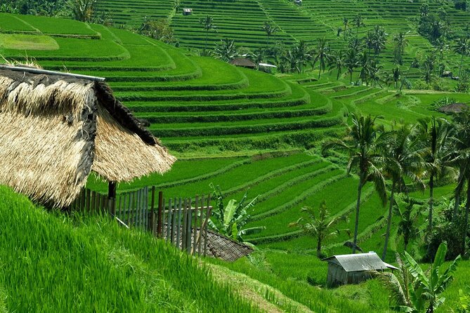 Bali: Bedugul Lake Temple, Banyumala Waterfall, UNESCO Rice Field - Ulun Danu Bratan Temple on Lake Beratan: More Than a Photo Stop