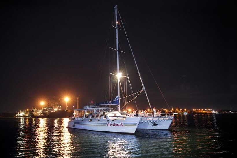 Bali/Benoa: 5-Course Romantic Evening Cruise With Live Music - Views from Benoa to Nusa Dua: the starry-night part matters