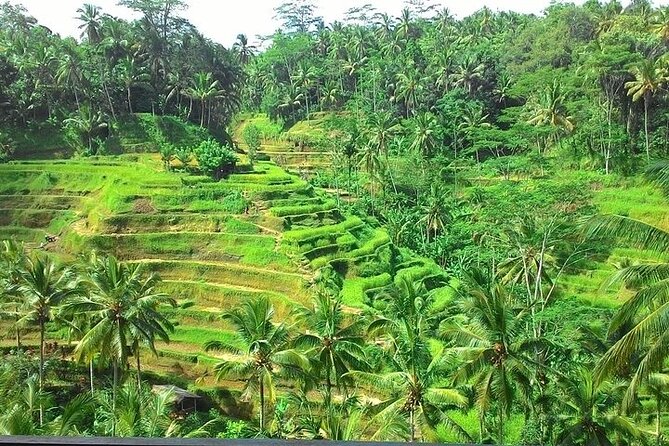 Bali Benoa Shore Excursion for cruise's passenger - All Inclusive - Tegenungan Waterfall: Photos, Cooling Off, and Getting Your Feet Wet