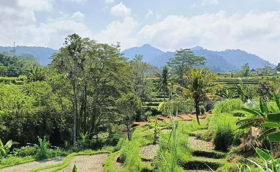 Bali: Besakih Temple and Sidemen Tour - Key things I’d plan around