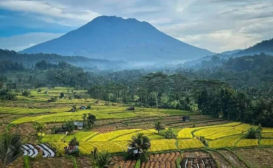 Bali: Besakih Temple and Sidemen Tour - Why Sidemen Feels Different From Bali’s Busy Parts