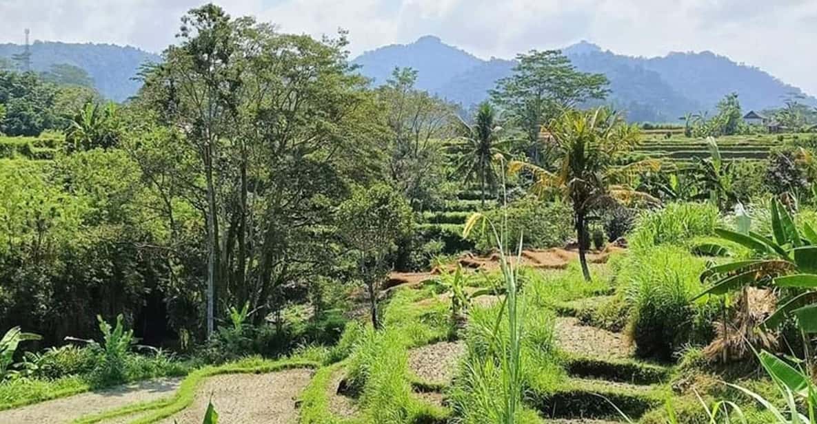Bali: Besakih Temple and Sidemen Tour - Who This Tour Fits Best (and Who Should Rethink It)