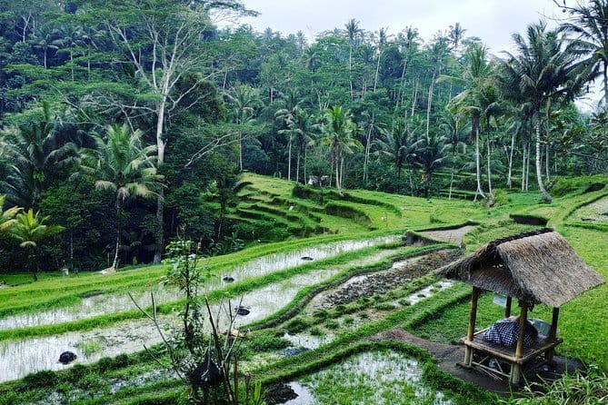 Bali: Best Eastern Waterfalls with Private Bali Tours - Should You Book This Private Waterfall Tour?
