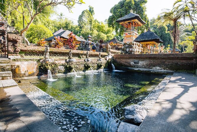Bali Best Of Ubud Tour Private and All Inclusive - Price and value: why $119 can feel fair on a private day