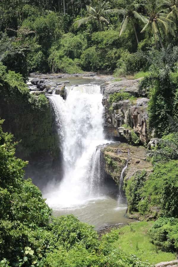 Bali: Best of Ubud Waterfalls Tour - How the Ubud pickup and 8–9 hour pace really feels
