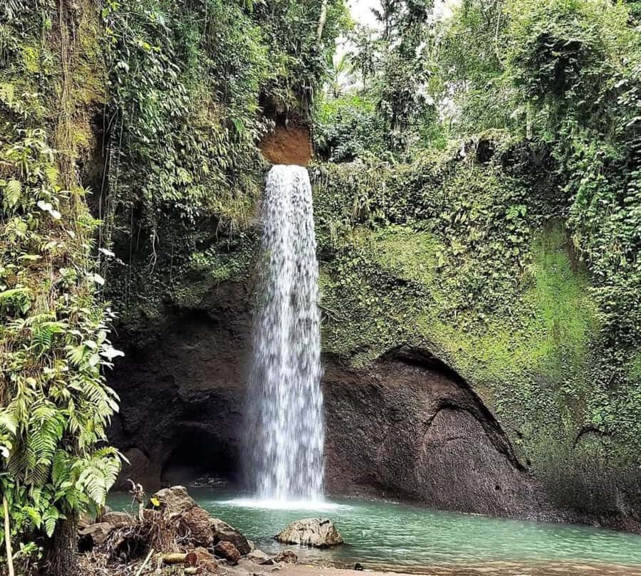 Bali: Best of Ubud Waterfalls Tour - Who should book this Bali waterfall day (and who should reconsider)