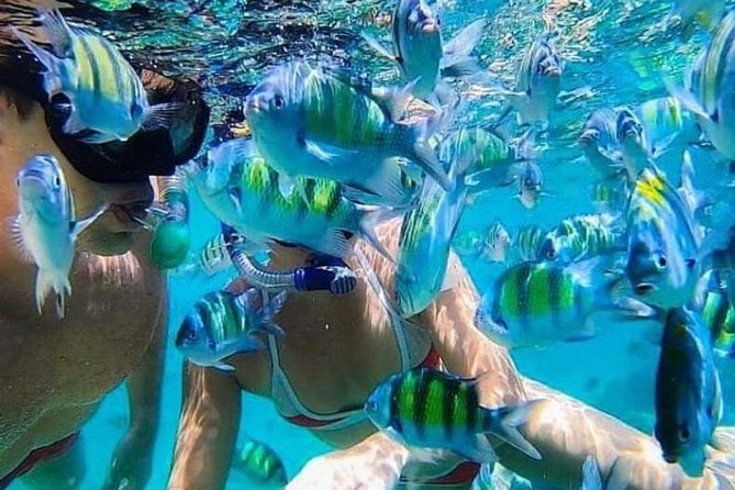 Bali Best Snorkeling at Blue Lagoon - Key highlights you’ll care about