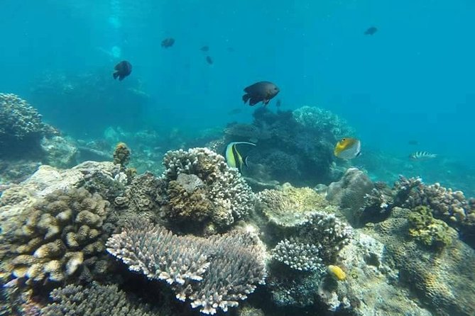 Bali Best Snorkeling at Blue Lagoon - Stop 1: Blue Lagoon Beach—clear water and beginner-friendly guidance