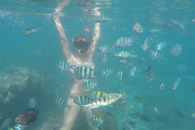 Bali Best Snorkeling at Blue Lagoon - Lunch, coffee/tea, and why this matters more than you think