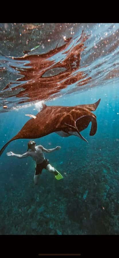 Bali : Best Trip of Nusapenida Island in one day - Key things to know before you go