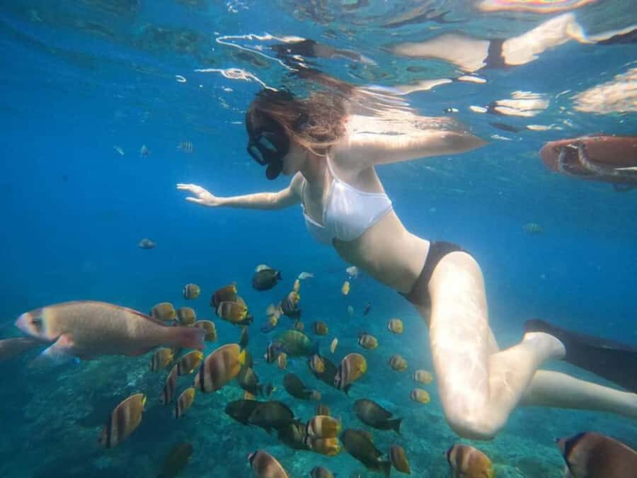 Bali : Best Trip of Nusapenida Island in one day - What to expect from the water: conditions, sightings, and expectations