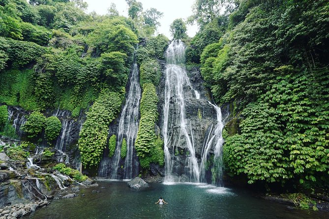 Bali Best Waterfalls Tour : Sekumpul and Banyumala - Banyumala Twin Waterfalls: walking down, cold water, and real “wow” physics
