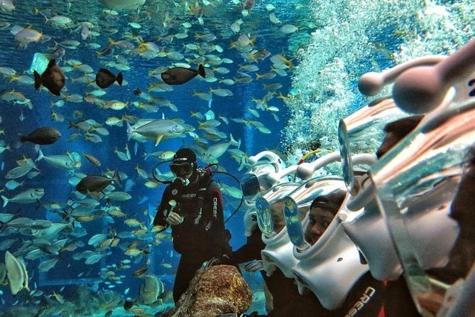 Bali Best Watersport Sea walker,Parasailing adventure,Jet sky - Bali Watersports From Seminyak: Why This Combo Works