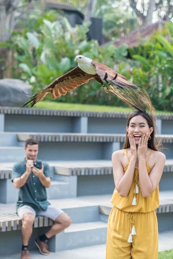 Bali Bird Park: 1-Day Admission Ticket - Key Things I’d Prioritize in Bali Bird Park
