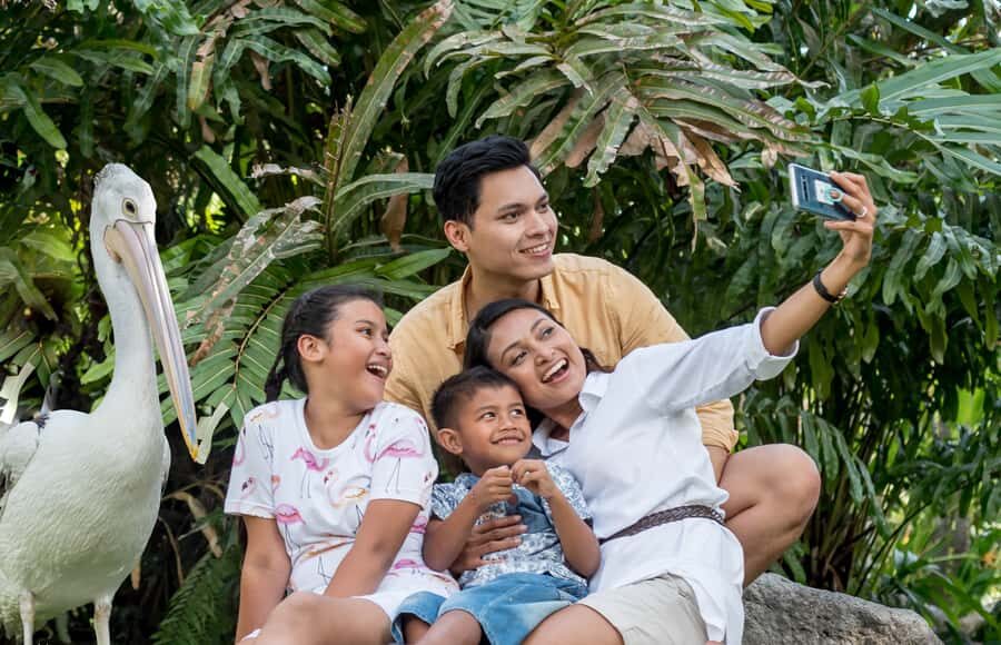 Bali Bird Park 1-Day Admission Ticket - Reptile park next door: optional, but worth knowing