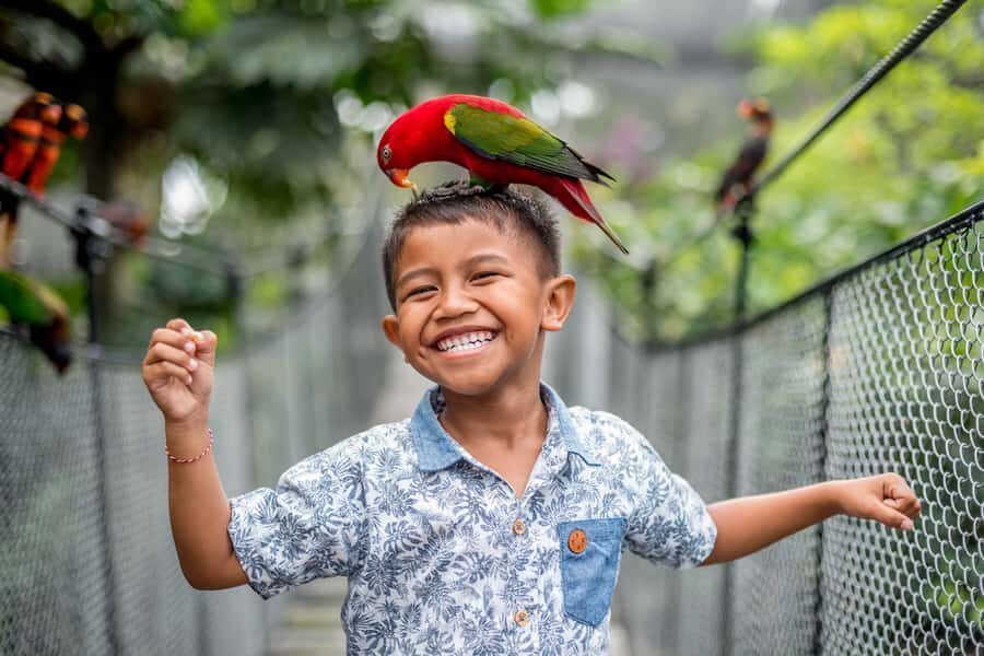 Bali Bird Park: 1-Day Admission Ticket - Bali Bird Park in One Day: What Your $8 Gets You