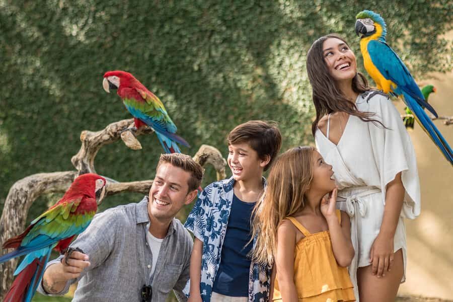 Bali Bird Park: 1-Day Admission Ticket - Entering the Park: Habitat Zones That Feel Like Different Worlds