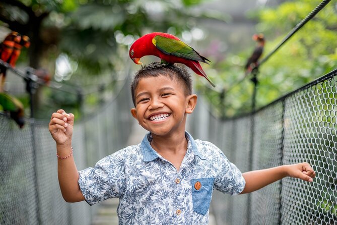 Bali Bird Park Admission Ticket - Bali Bird Park Admission: what you’re really buying for your $18.82