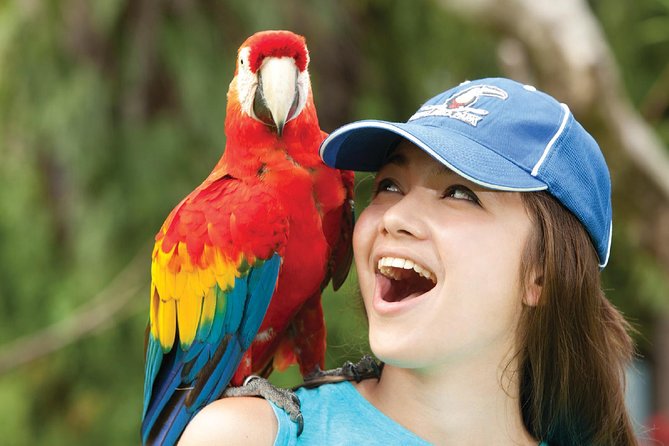 Bali Bird Park Admission Ticket - Arriving and getting in: making the ticket work smoothly