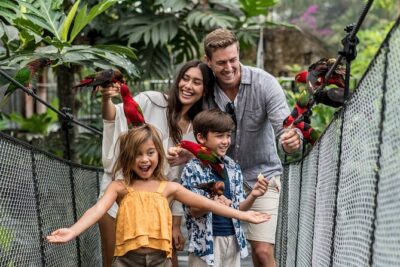 Bali Bird Park Admission Ticket - Timing your visit around the shows (so you don’t miss the good stuff)