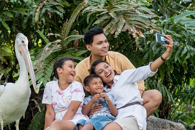 Bali Bird Park Admission Ticket - Stop inside Bali Bird Park: the walk-through that feels alive