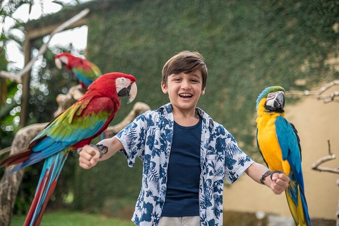 Bali Bird Park Admission Ticket - Bali Rain Forest Free Flight: the 10:30am and 4:00pm performance
