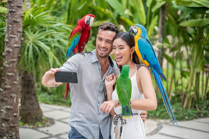 Bali Bird Park Admission Ticket - Basic Instinct Bird of Prey: 11:30am and 3:00pm raptors overhead