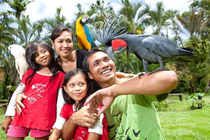 Bali Bird Park Admission Ticket with Hotel Transfer - Price and What You Actually Get for $38