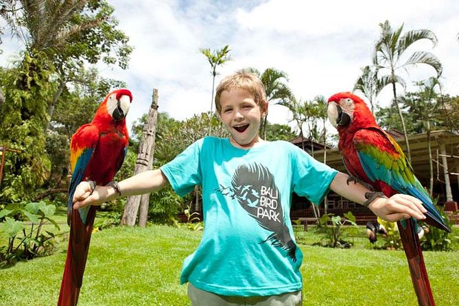Bali Bird Park Admission Ticket with Hotel Transfer - Getting Your Bearings: Entering Bali Bird Park and Finding Your Flow