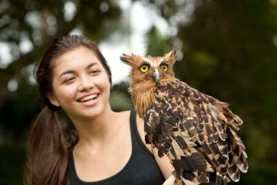 Bali Bird Park Admission Ticket with Hotel Transfer - Private Hotel Transfer From Ubud and South Bali: What Makes It Work
