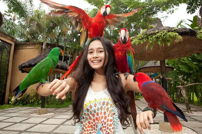 Bali Bird Park Admission Ticket with Hotel Transfer - How Long Should You Stay? 1 to 6 Hours, With Realistic Advice