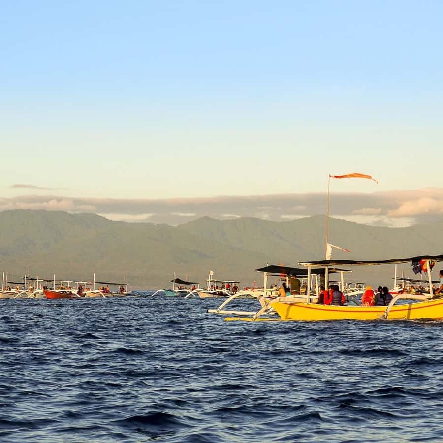 Bali Bliss: Dolphin Lovina Private Expedition - Coffee plantation time: tasting and how to avoid disappointment