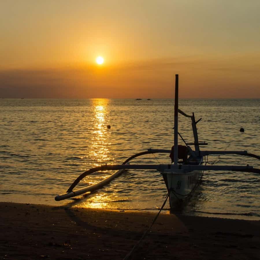 Bali Bliss: Dolphin Lovina Private Expedition - Price and value: $18 for transport plus a dolphin boat