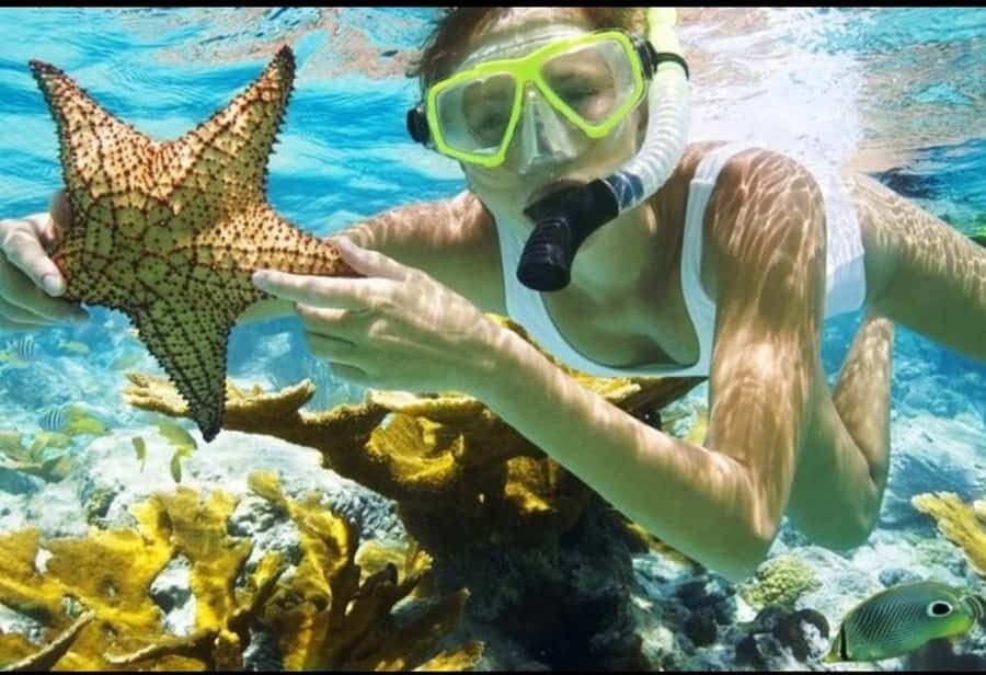 Bali: Blue Lagoon and Tanjung Jepun Snorkeling Trip - Blue Lagoon and Tanjung Jepun: What’s the Difference Underwater?