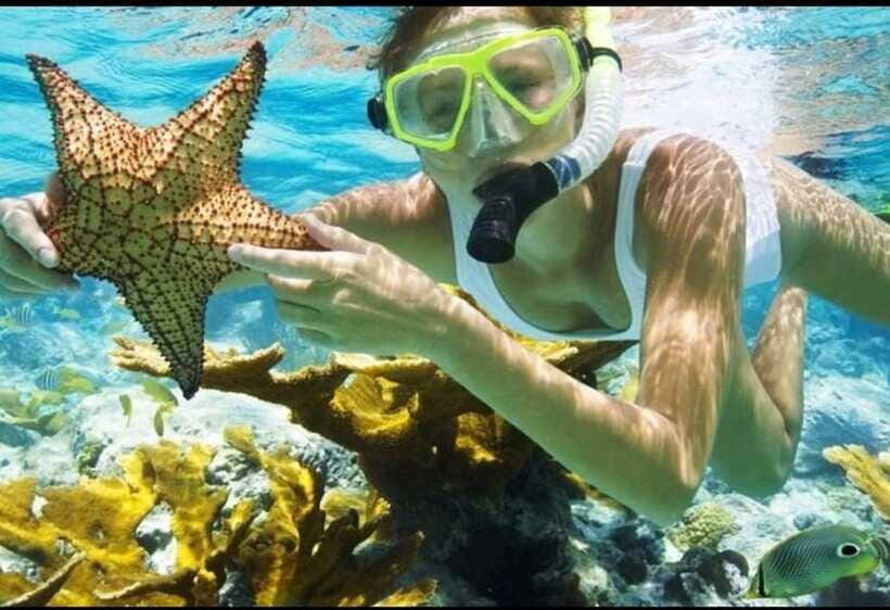 Bali: Blue Lagoon and Tanjung Jepun Snorkeling Trip - Lunch Included: A Real Bonus on a Short Snorkeling Trip