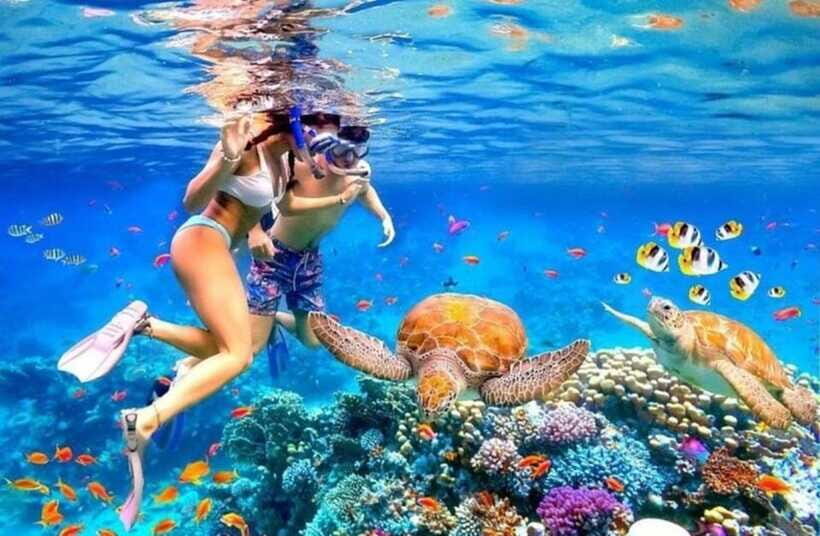 Bali: Blue Lagoon and Tanjung Jepun Snorkeling Trip - Price and Value: Is $40 Fair for This Much Included?