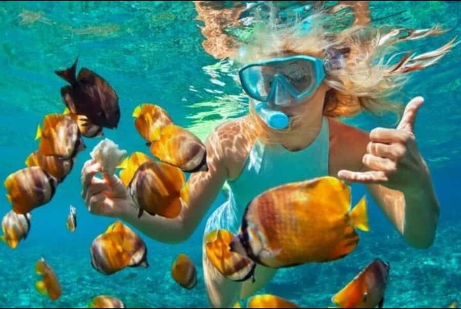 Bali: Blue Lagoon and Tanjung Jepun Snorkeling Trip - Pickup and Timing: Making the 2 Hours Work From Your Hotel