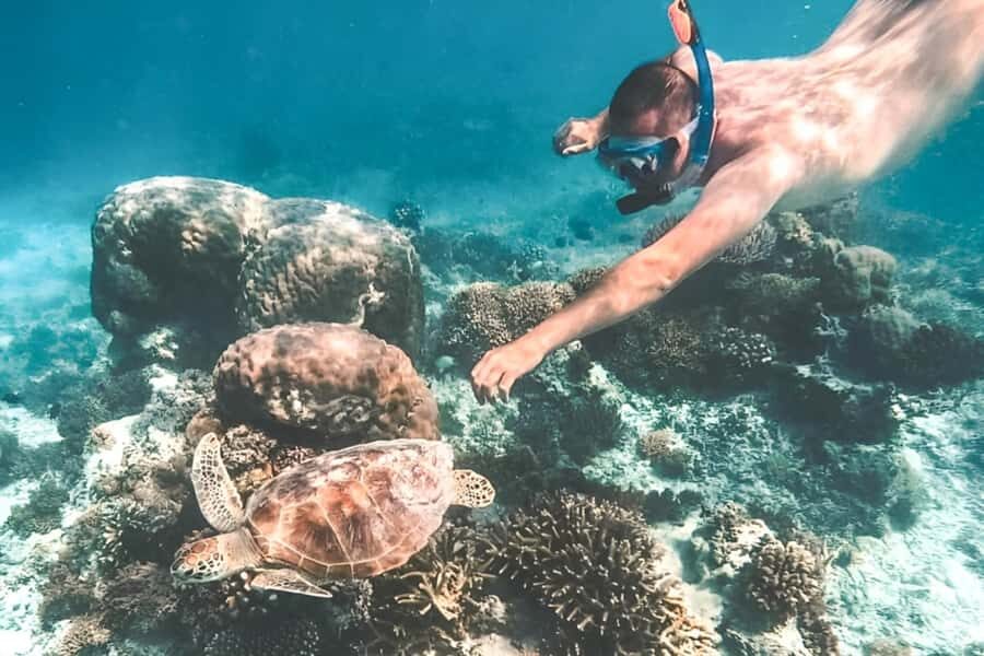 Bali: Blue Lagoon Beach Snorkeling Tour with Lunch - Key Highlights Worth Your Time