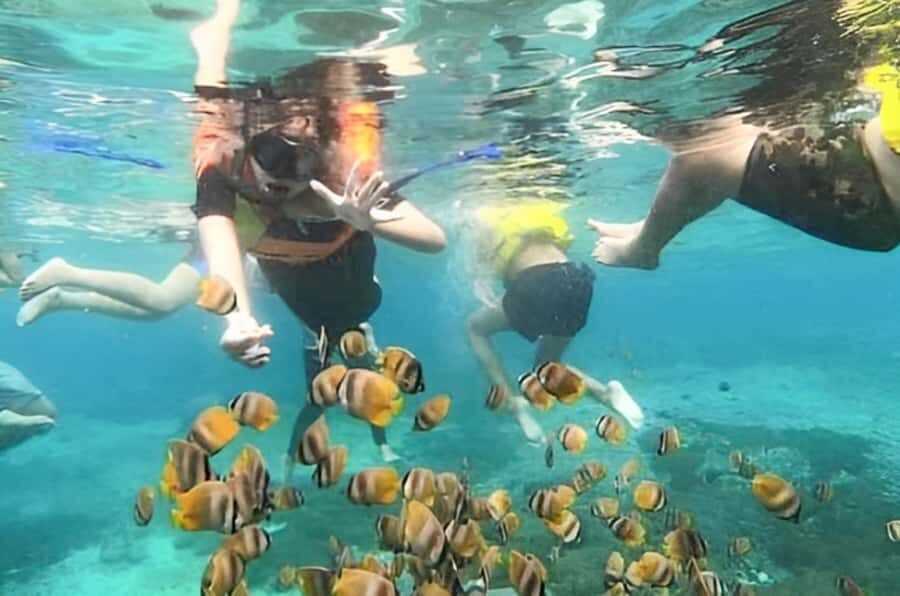 Bali: Blue Lagoon Beach Snorkeling Tour with Lunch - Who This Tour Fits Best (and Who Might Want a Different Plan)