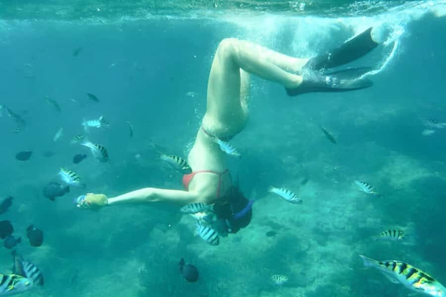 Bali: Blue Lagoon Beach Snorkeling Tour with Lunch - Lunch at Warung Blue Lagoon: The Most Practical Part of the Day