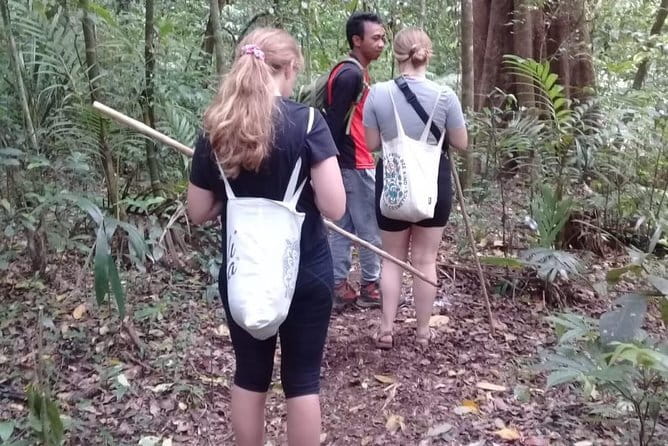 Bali Blue Lagoon Snorkeling and Waterfall Day Tour with Lunch - Price and value: what $41 covers on a full 9-hour day